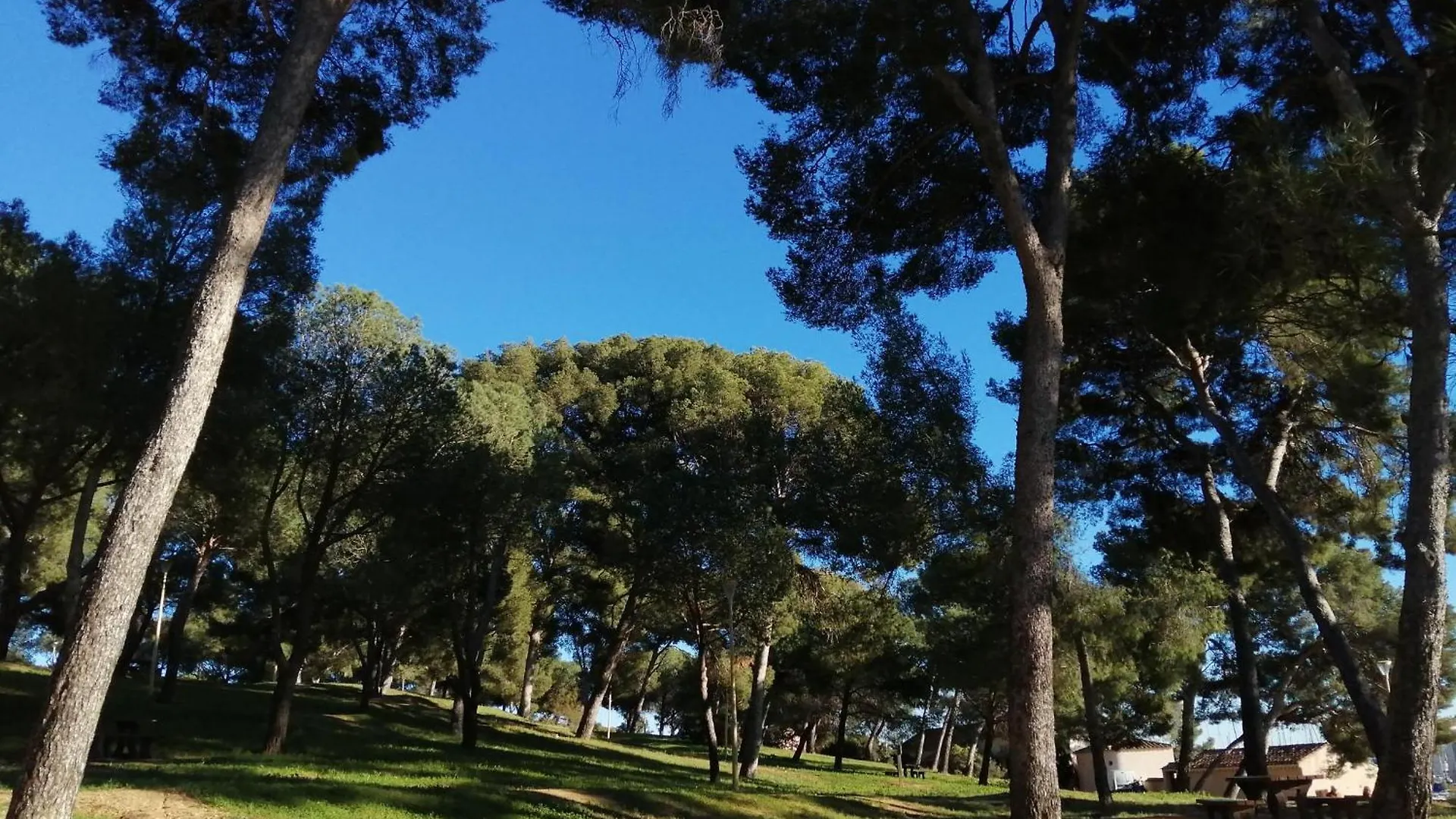 Les Ondines Sea View With Air Conditioning Bormes-les-Mimosas Apartment